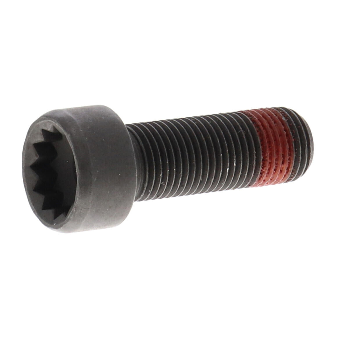 VAICO Flywheel Bolt V45-0204