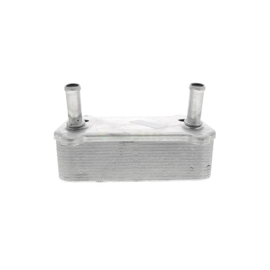 VEMO Oil Cooler, engine oil V45-60-0005