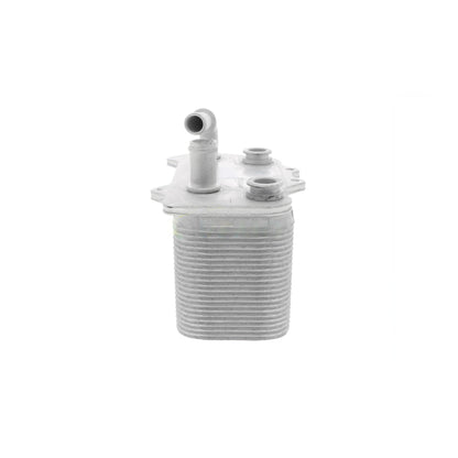 VEMO Oil Cooler, engine oil V45-60-0007