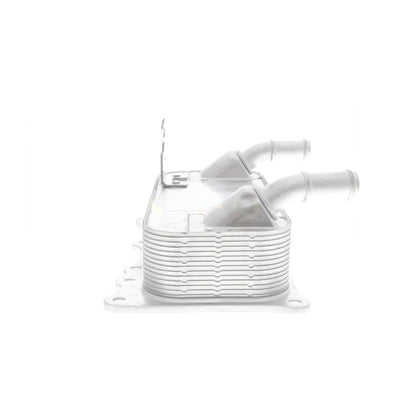 VEMO Oil Cooler, engine oil V45-60-0010