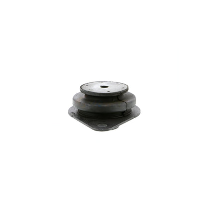 VAICO Mounting, engine V46-0354