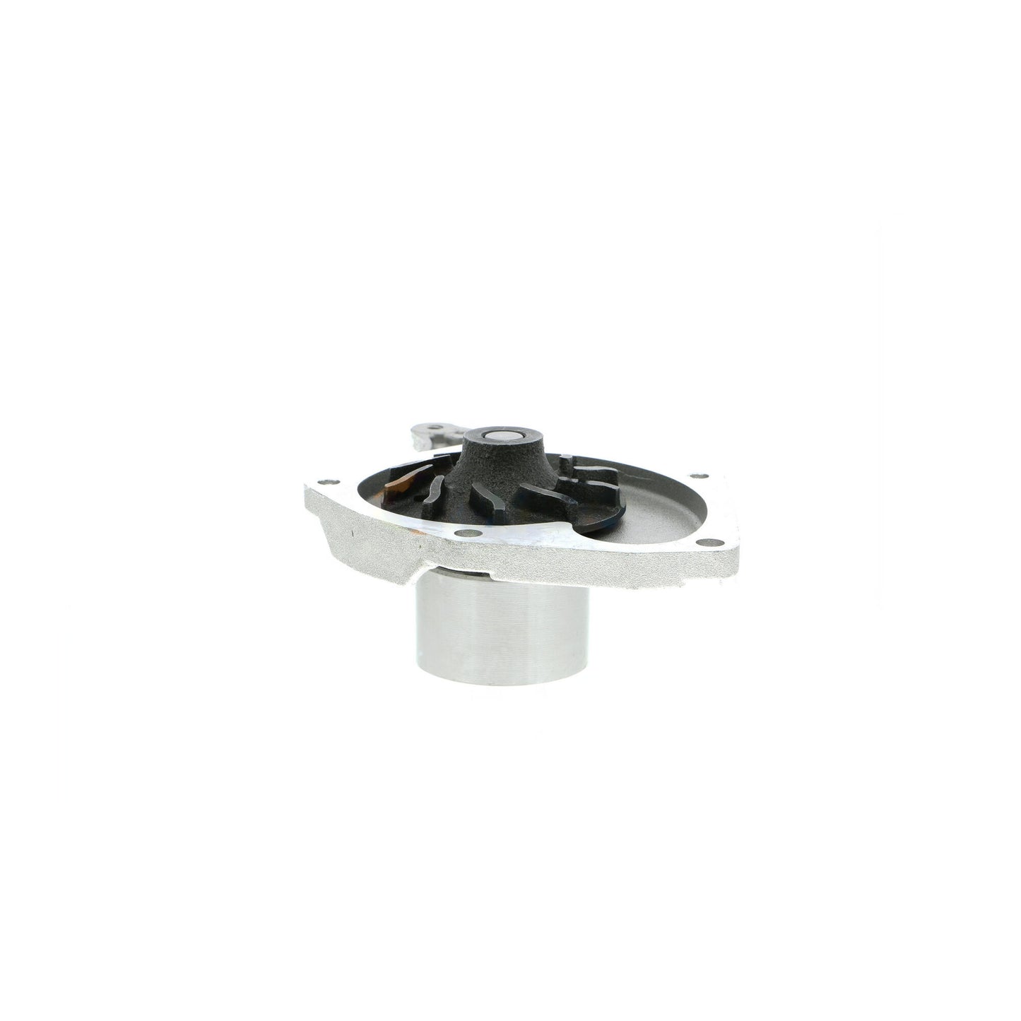 VAICO Water Pump, engine cooling V46-50006