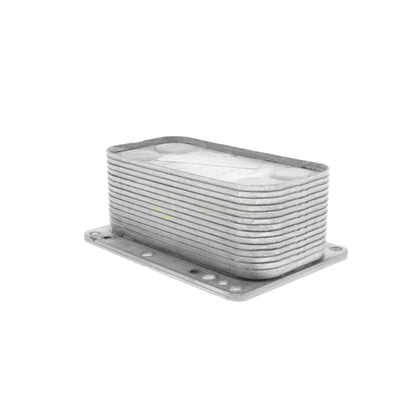 VEMO Oil Cooler, engine oil V46-60-0015