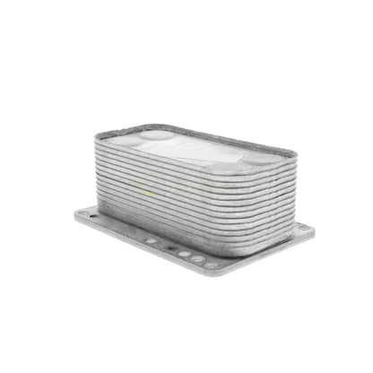 VEMO Oil Cooler, engine oil V46-60-0015
