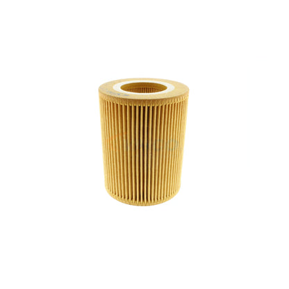 VAICO Oil Filter V48-0012
