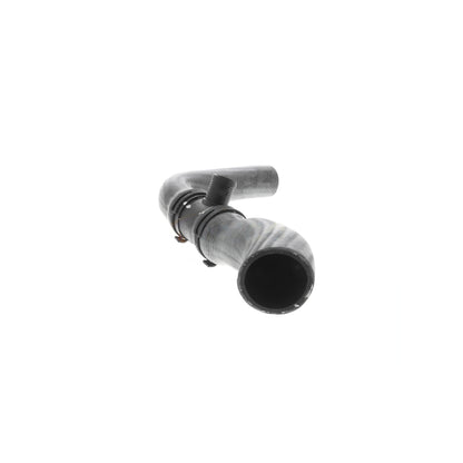 VAICO Radiator Hose V48-0136