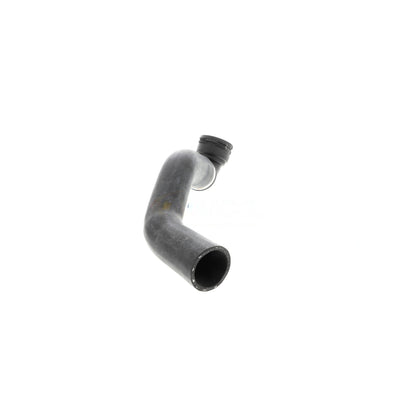 VAICO Radiator Hose V48-0143