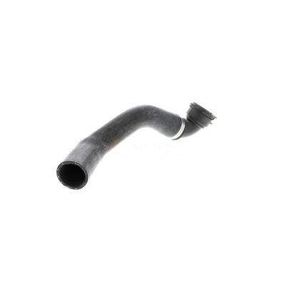 VAICO Radiator Hose V48-0143