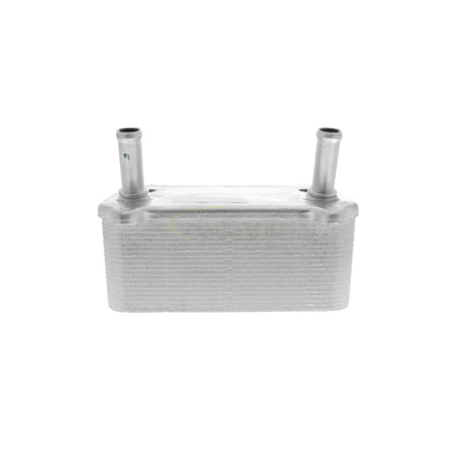VEMO Oil Cooler, engine oil V48-60-0008