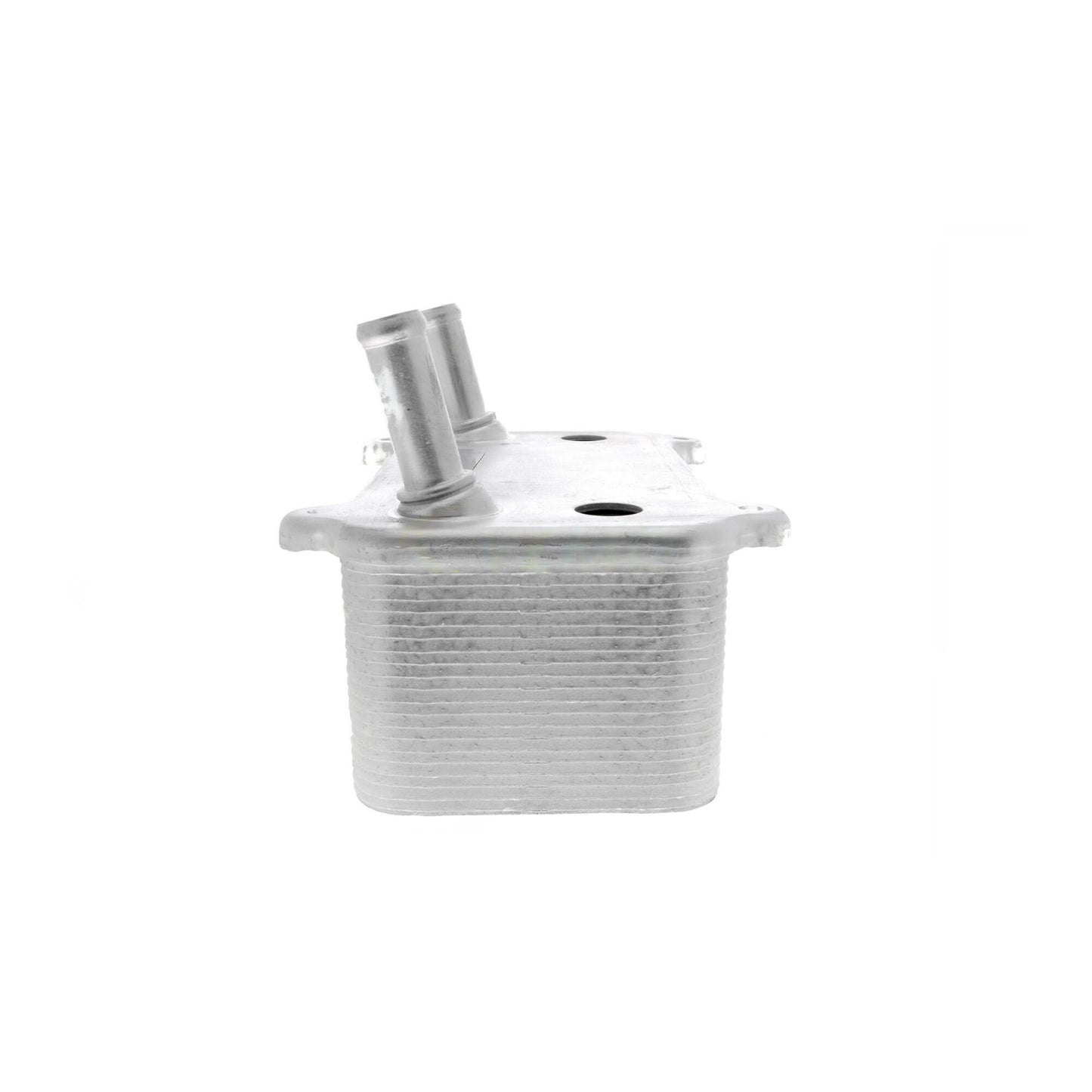 VEMO Oil Cooler, engine oil V48-60-0008