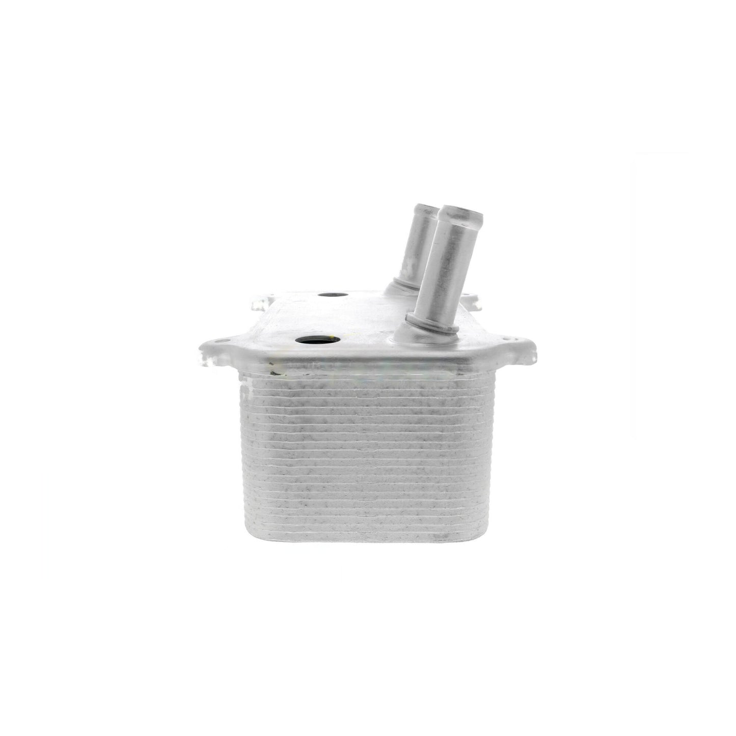 VEMO Oil Cooler, engine oil V48-60-0008