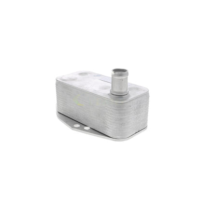 VEMO Oil Cooler, engine oil V48-60-0023