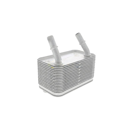 VEMO Oil Cooler, automatic transmission V48-60-0025