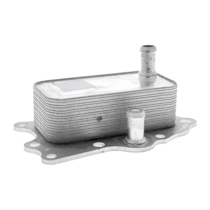 VEMO Oil Cooler, engine oil V51-60-0004