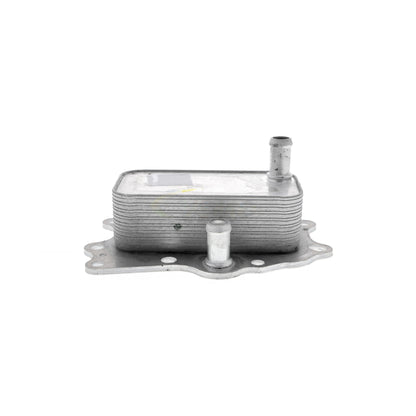 VEMO Oil Cooler, engine oil V51-60-0004