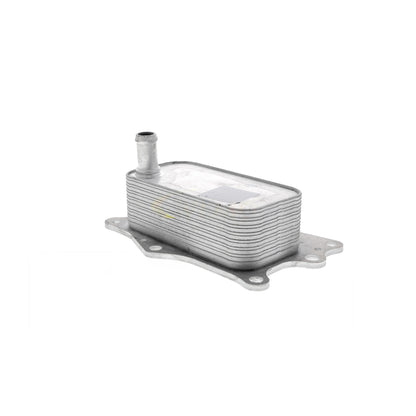 VEMO Oil Cooler, engine oil V51-60-0004