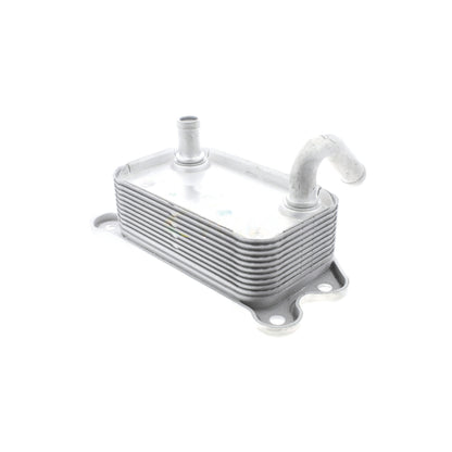 VEMO Oil Cooler, engine oil V95-60-0008