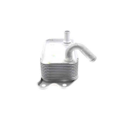 VEMO Oil Cooler, engine oil V95-60-0008