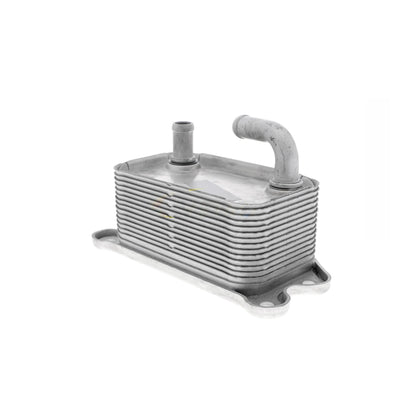 VEMO Oil Cooler, engine oil V95-60-0011