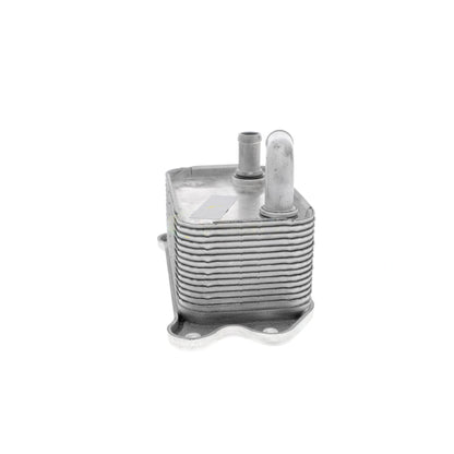 VEMO Oil Cooler, engine oil V95-60-0011