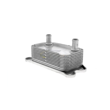 VEMO Oil Cooler, engine oil V95-60-0012