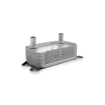 VEMO Oil Cooler, engine oil V95-60-0012