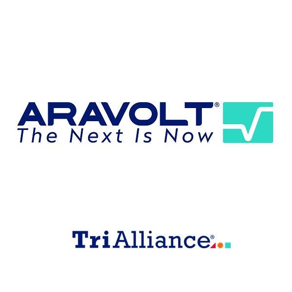 ARAVOLT Premium Mounting for engine AR771039